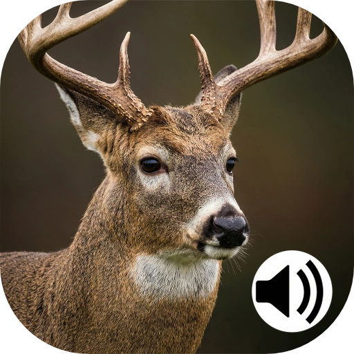 whitetail deer calls icon