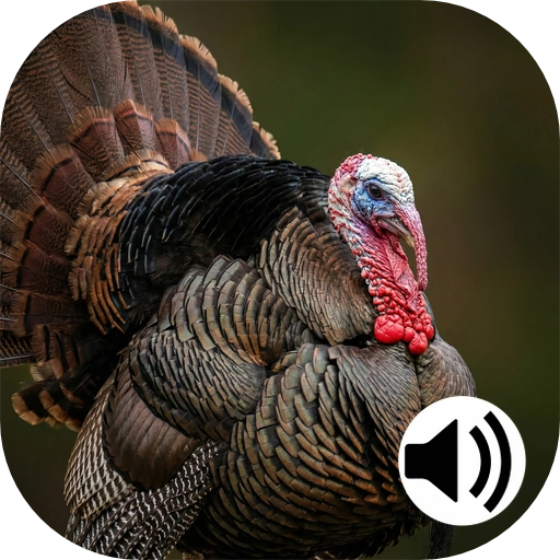 turkey hunting calls icon